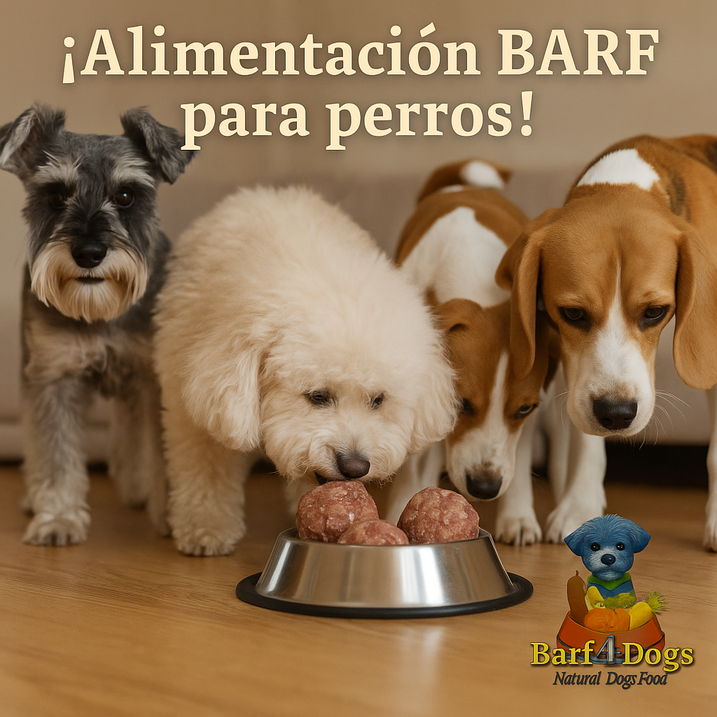 Barf4Dogs Alimentación natural premiun para perros - Imagen 4