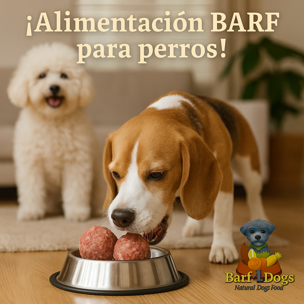 Barf4Dogs Alimentación natural premiun para perros - Imagen 5