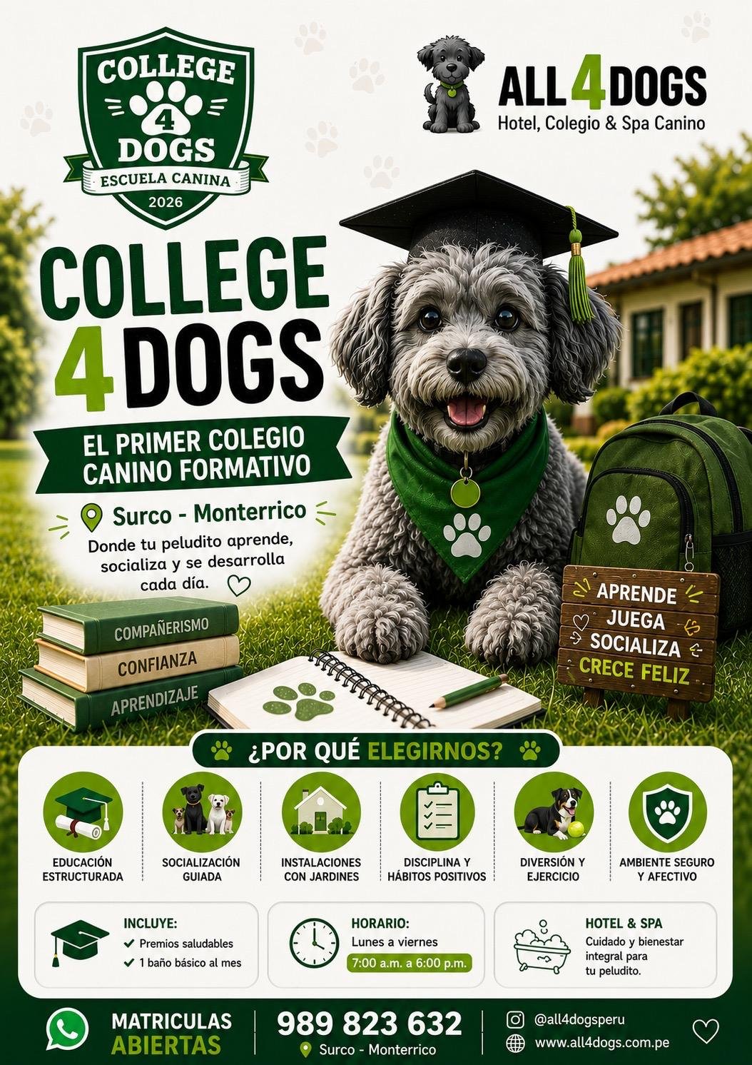 College4Dogs Colegio Canino Formativo