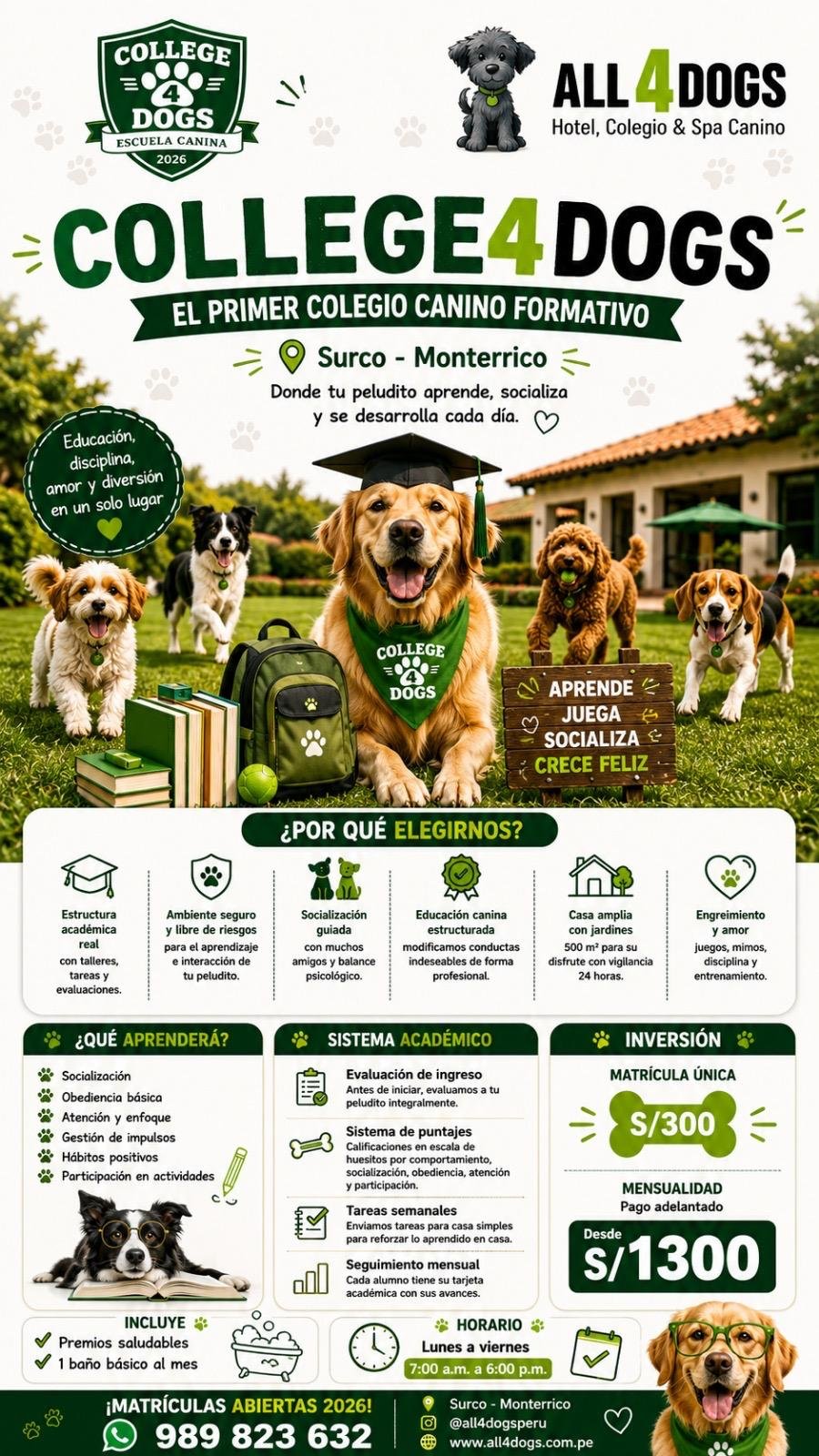 College4Dogs escuela canina Surco Monterrico