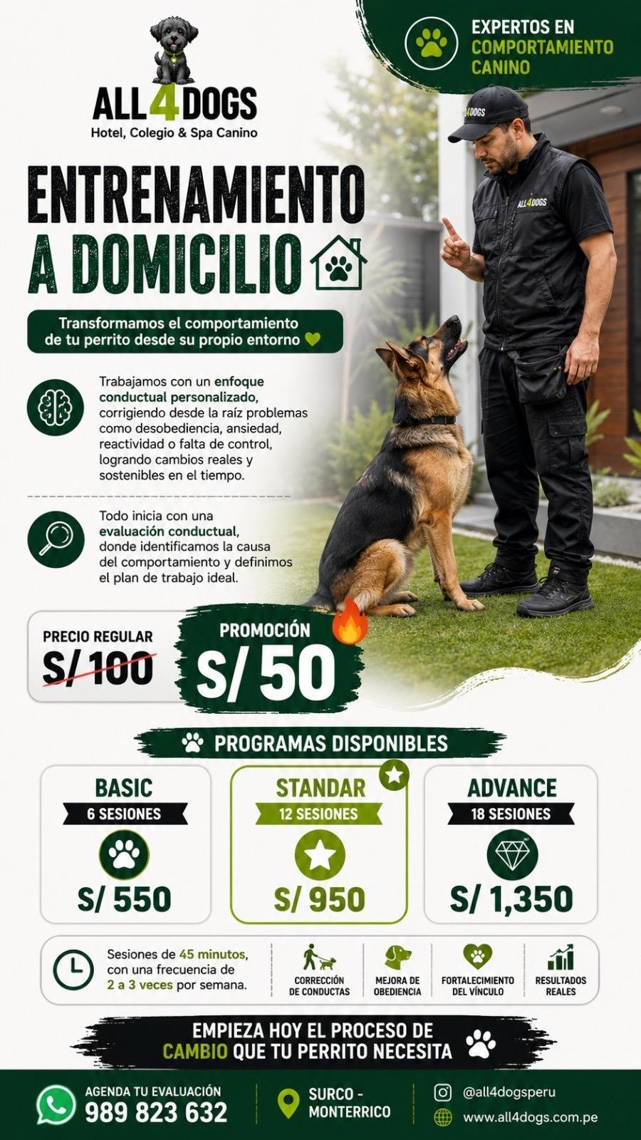 Instructor de entrenamiento canino ALL4Dogs