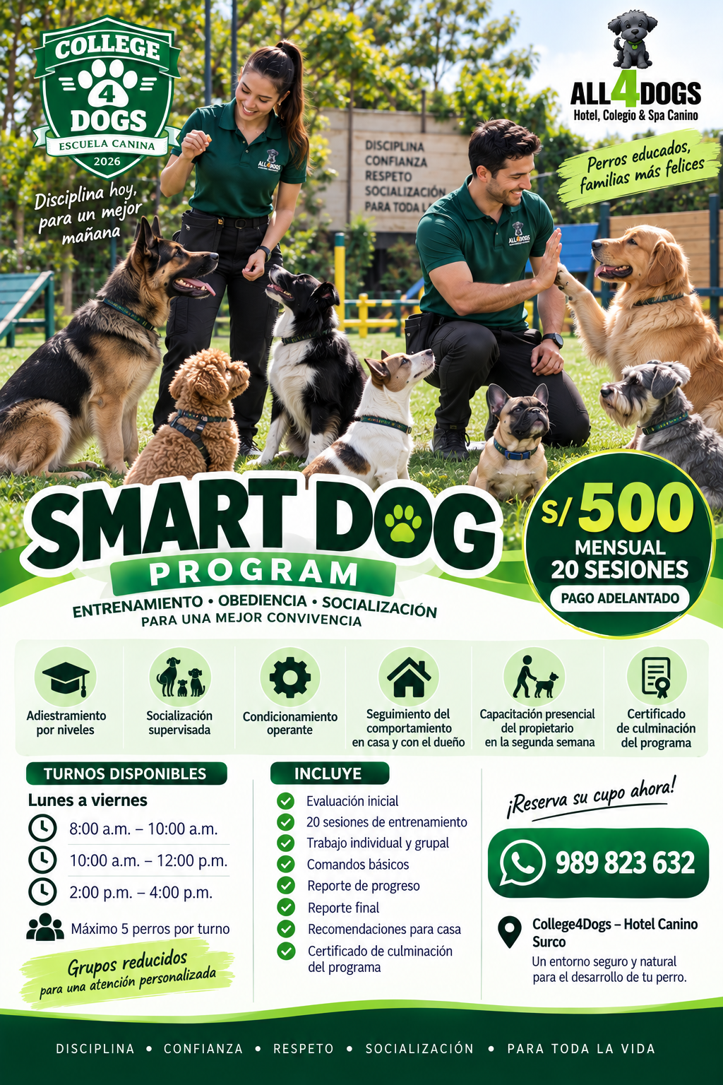 SMART DOG Program - Entrenamiento Canino en Surco